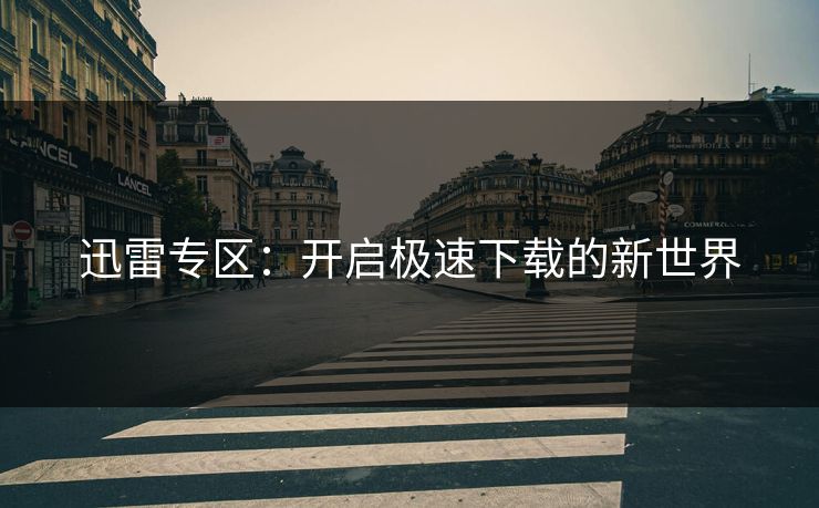 迅雷专区：开启极速下载的新世界