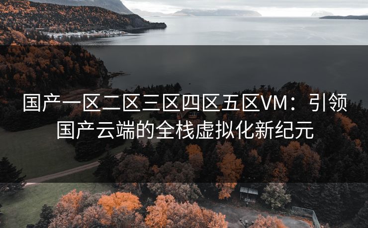 国产一区二区三区四区五区VM：引领国产云端的全栈虚拟化新纪元